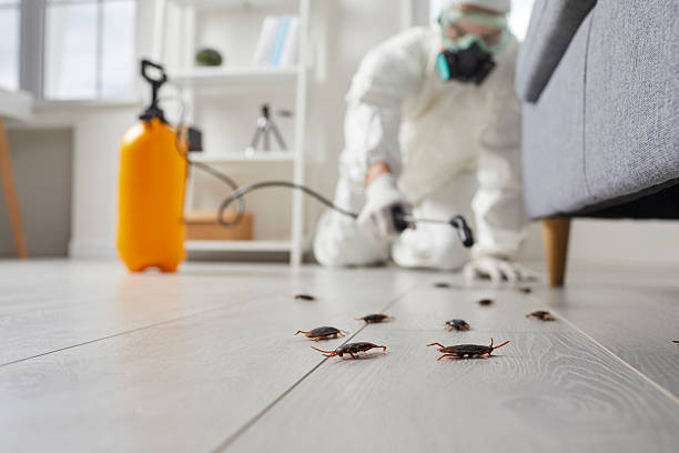 Commercial Kitchen Cockroach Control in West Bay Shore